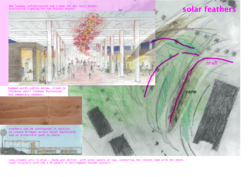 Solar Feathers